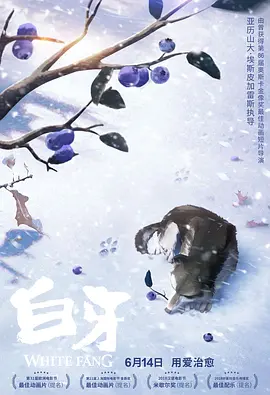 欧美日韩国产视频